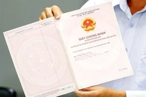 Các loại giấy tờ nhà đất quan trọng bạn cần biết để giao dịch an toàn