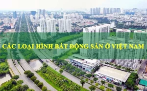 Các loại hình bất động sản phổ biến hiện nay: Phân loại và đặc điểm