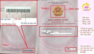 Cách kiểm tra sổ đỏ thật giả: Hướng dẫn chi tiết và cập nhật 2025