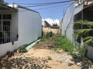 Mẹo chọn mua đất thổ cư: Bí quyết "vàng" để an cư lạc nghiệp