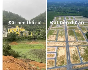 So sánh đất thổ cư và đất nền dự án: Nên chọn loại nào năm 2025?